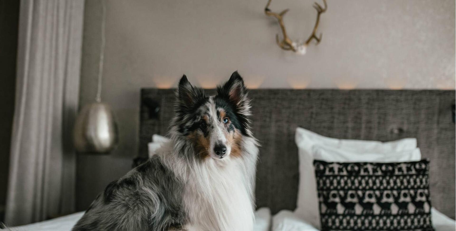 Lapland Hotels Bulevardi Хелзинки Екстериор снимка